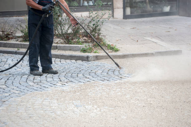 Best Roof Washing  in Cheval, FL