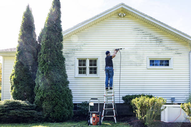 Best House Exterior Washing  in Cheval, FL